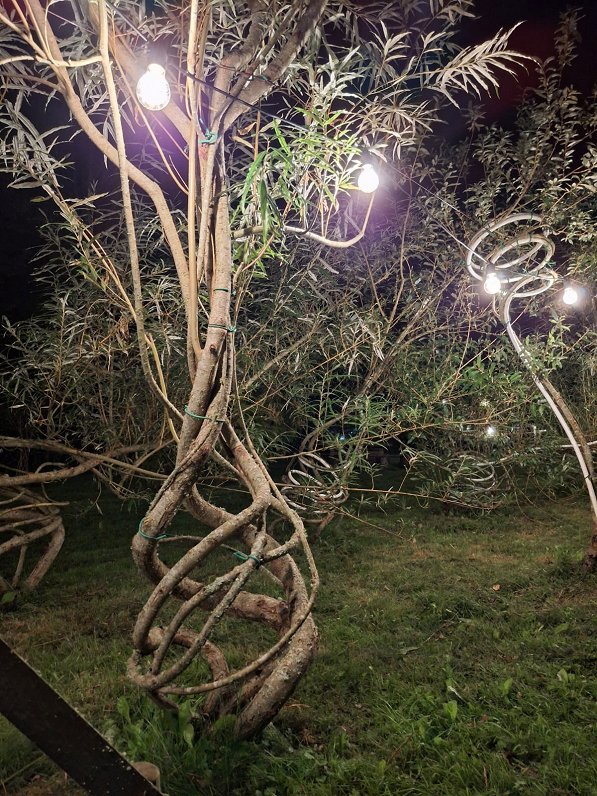 Meža dizaina dārzs