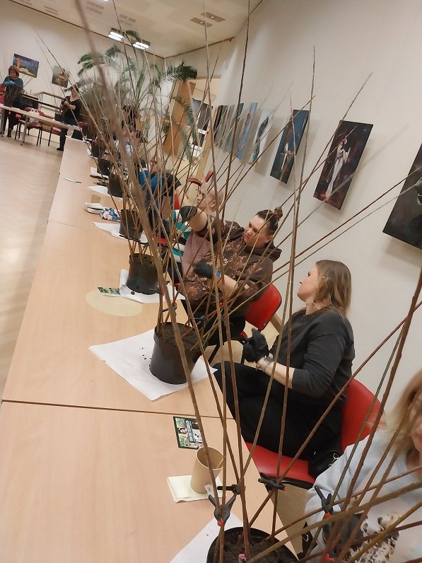 Pīto stādu meistarklase