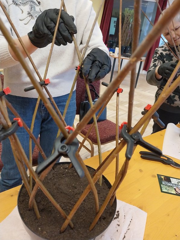 Pīto stādu meistarklase