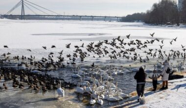 Kijivas ziemas ainas