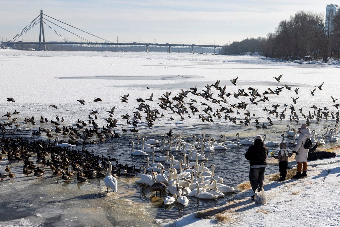 Kijivas ziemas ainas