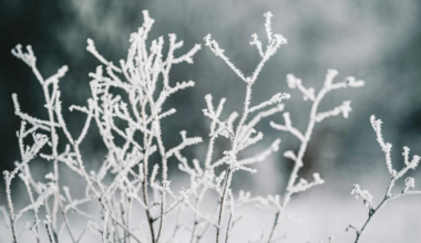 Dzeltenais brīdinājums: šonakt gaidāms stiprs sals
