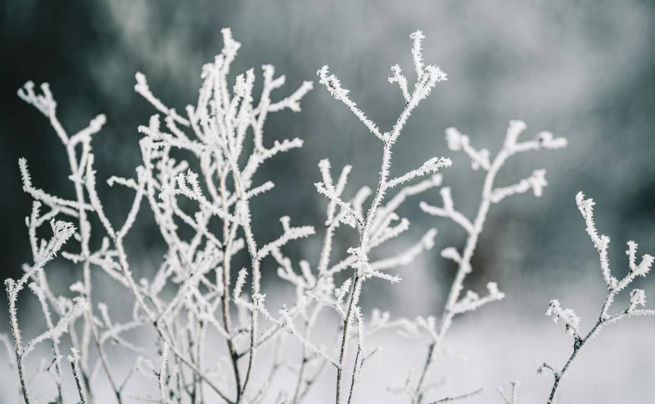 Dzeltenais brīdinājums: šonakt gaidāms stiprs sals