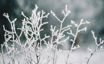 Dzeltenais brīdinājums: šonakt gaidāms stiprs sals Dzeltenais brīdinājums: šonakt gaidāms stiprs sals