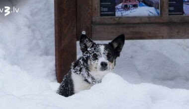 Piektdien saglabāsies mākoņains laiks | tv3.lv