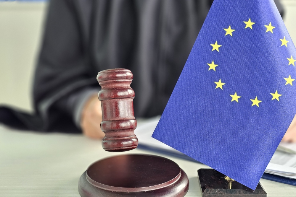 Preču zīmju tiesības: īpašnieks var iebilst pret to, ka politiskā partija izmanto tā preču zīmi ar reputāciju, ja partija nav pierādījusi, ka tās vārda brīvība prevalē pār minētā īpašnieka tiesībām un interesēm