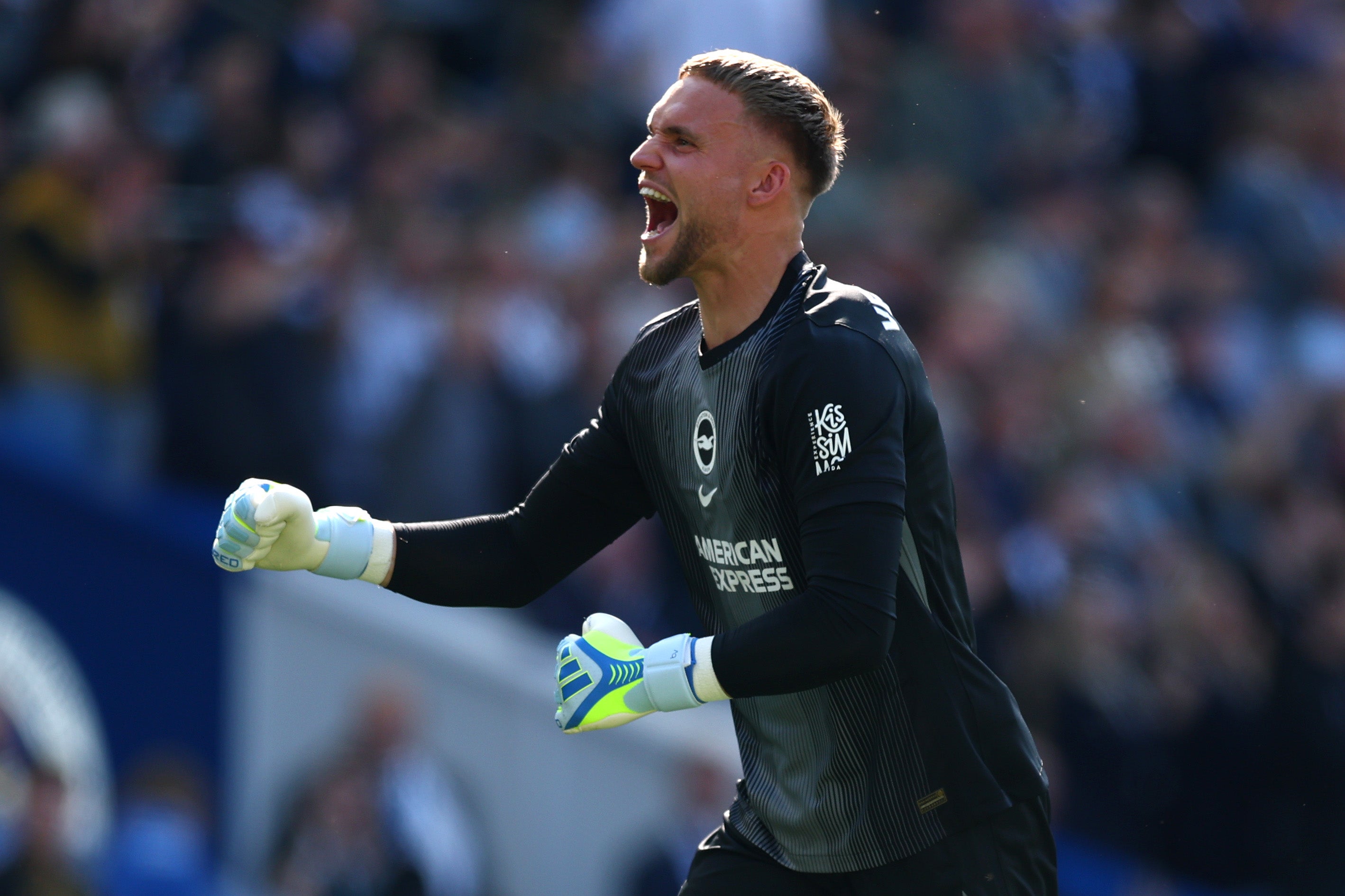 Verbruggen in action for Brighton at the Amex Stadium last month