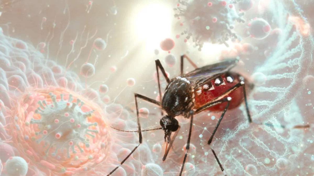 Mosquito on human skin, carrier of the West Nile virus