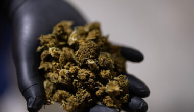 Trump Seeks a Boost for Hemp That Would Benefit a Top Aide’s Family