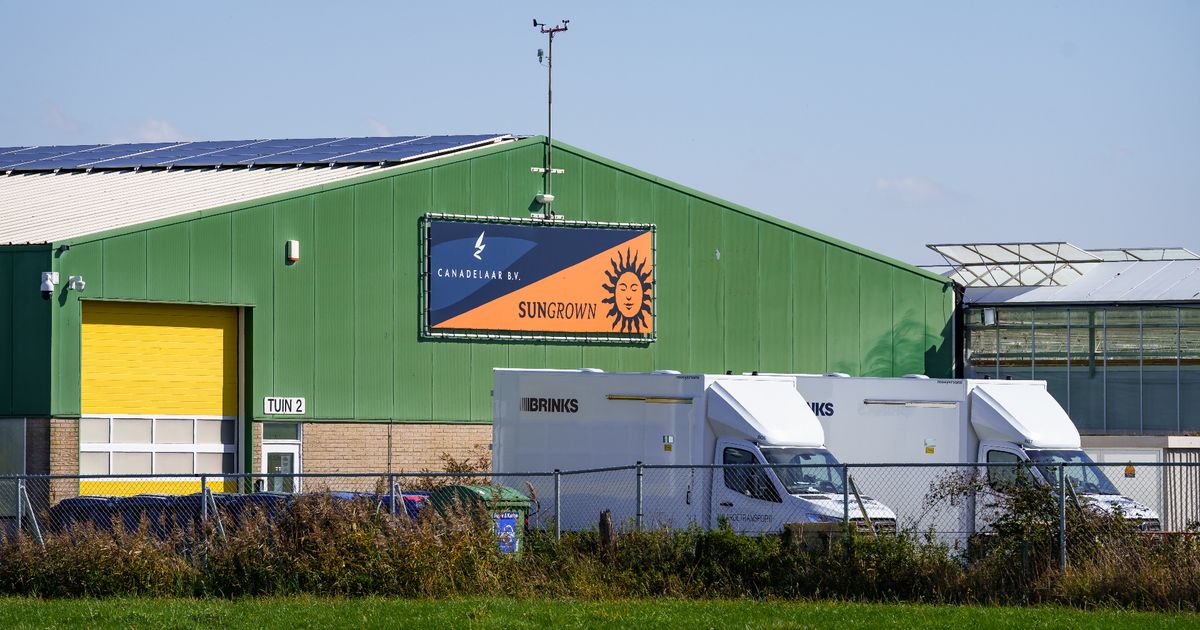 Legale wietkwekerij Hellevoetsluis voor vierde keer overvallen