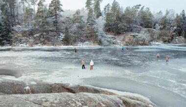 Een foutje in de koolstofcyclus kan de aarde zomaar in een ijstijd storten