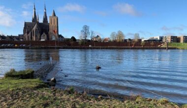 'Zoiets komt maar weinig voor'