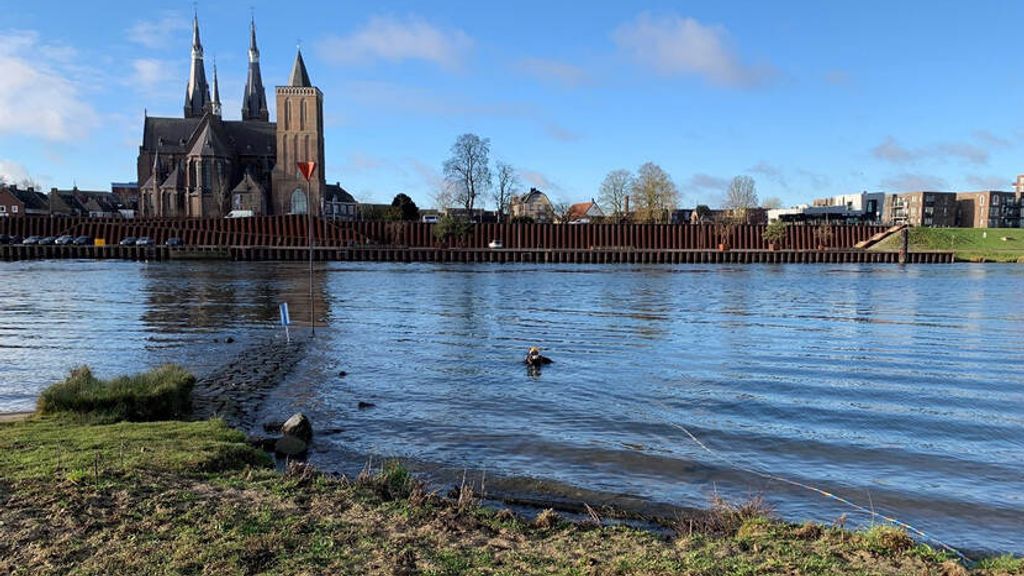'Zoiets komt maar weinig voor'