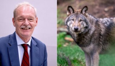 Ontevreden Rummenie mist sociale gevolgen in wolvenonderzoek