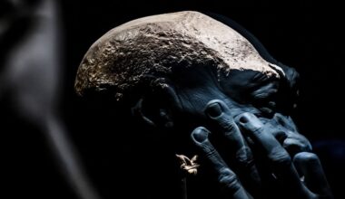 Nederland geeft archeologisch topstuk terug aan Indonesië