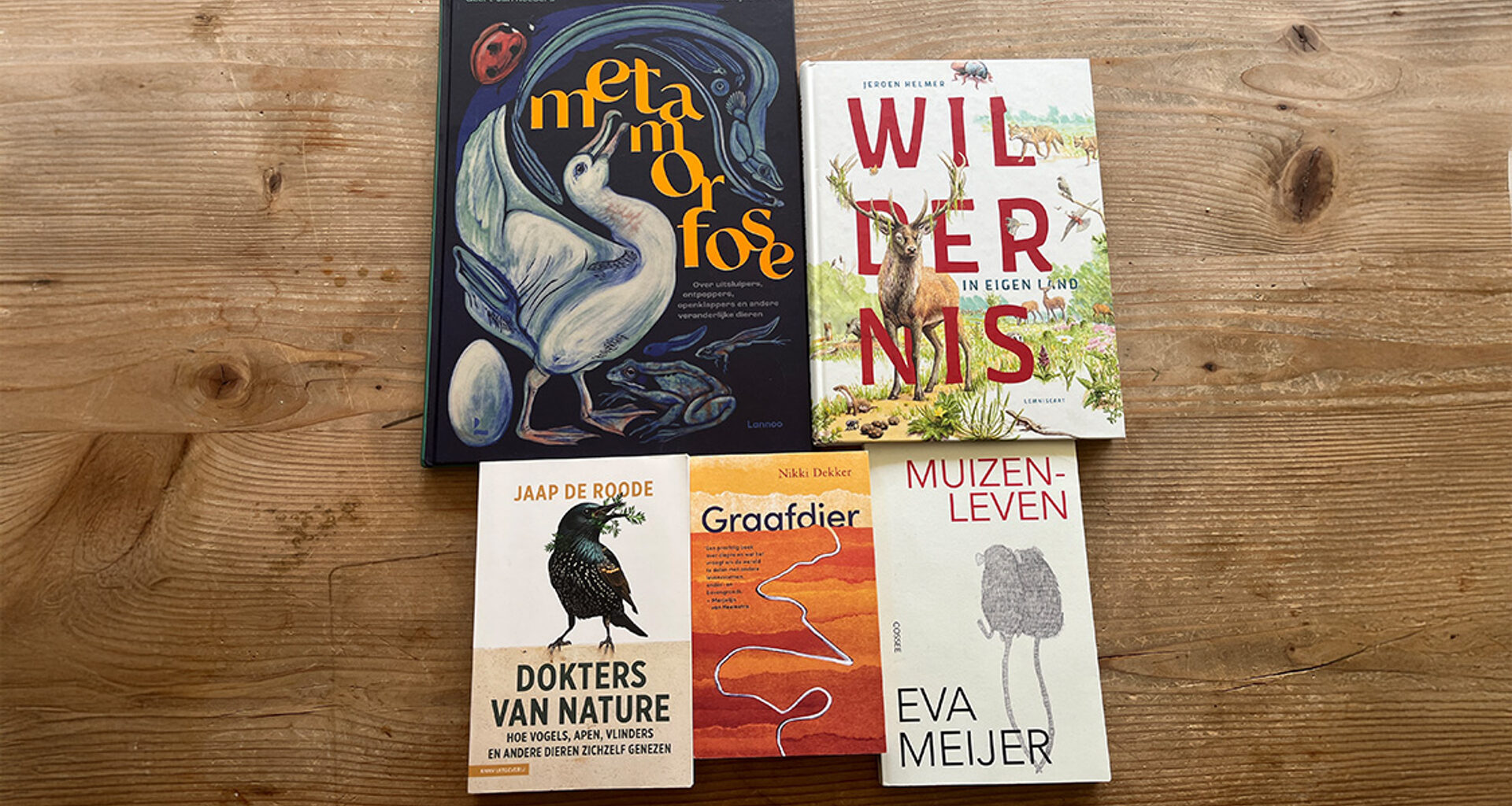 Stem op je favoriet - genomineerden Natuurboekenprijs 2025 - Vroege Vogels