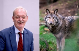 Ontevreden+Rummenie+mist+sociale+gevolgen+in+wolvenonderzoek