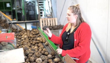 Boerin vindt handgranaat tussen de aardappelen: 'Terug het land opgegooid'