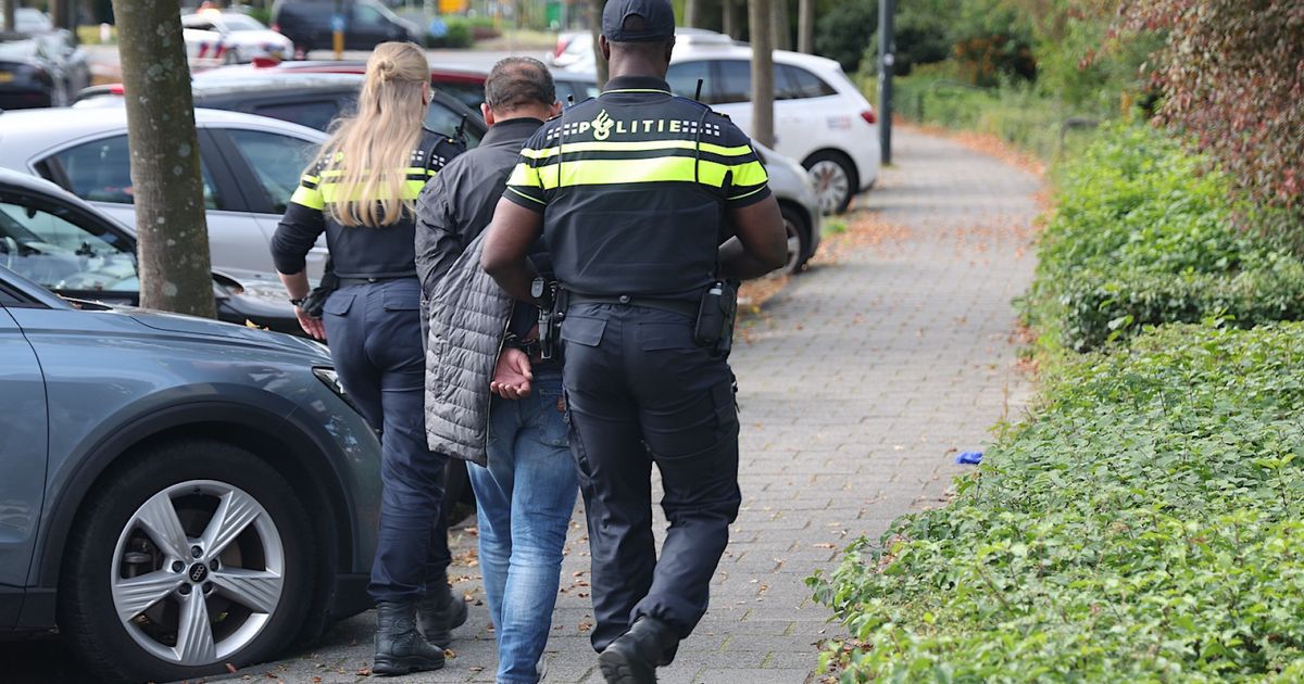 Vluchtende mannen opgepakt na achtervolging: één uit water gevist, ander in bosjes gevonden - Omroep West