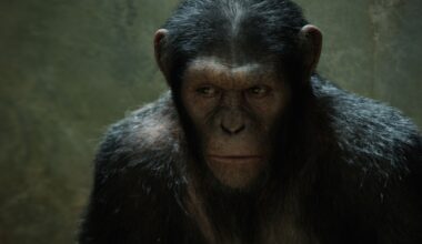 'Detective Chimp' in aantocht voor het DC Universe? Marvel-maker "smeekt" James Gunn