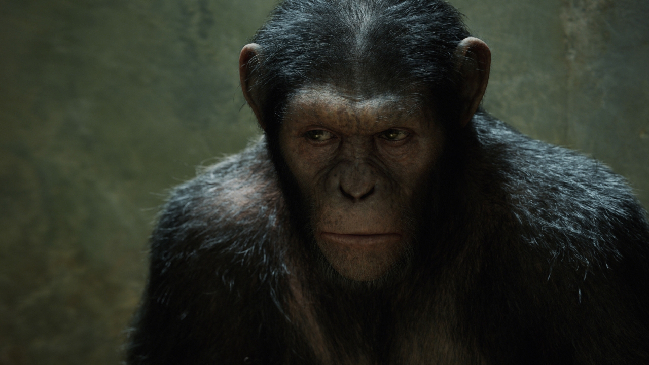 'Detective Chimp' in aantocht voor het DC Universe? Marvel-maker "smeekt" James Gunn