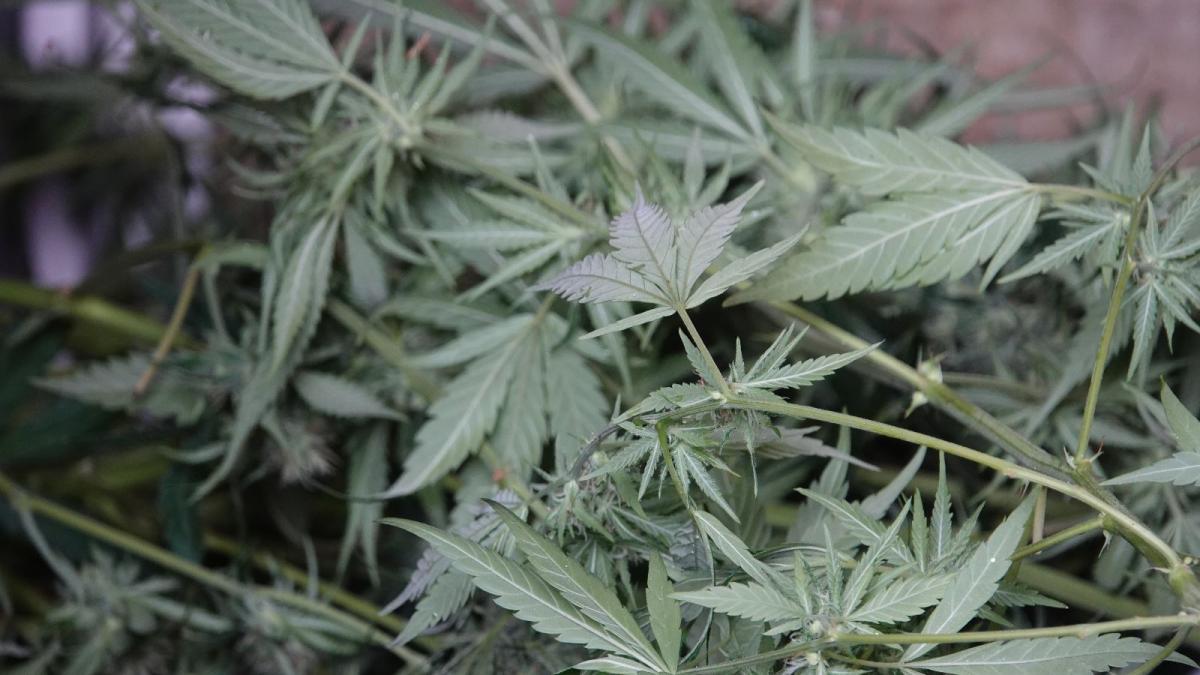 Drugs, munitie en dure horloges in woning: pand voor half jaar gesloten