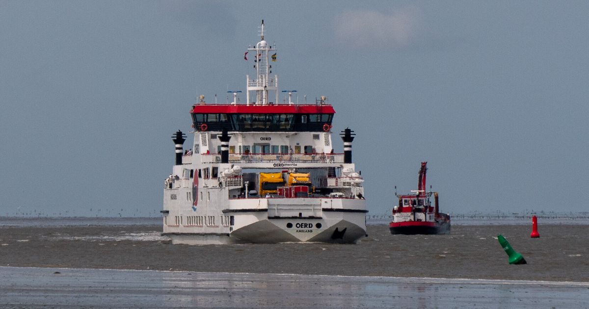 Amelanders maken zich zorgen over de veerconcessie, Terschellingers over de haven