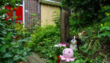 Pleegzorg schiet niet alleen in Vlaardingen tekort, moeder zit nog vol vragen