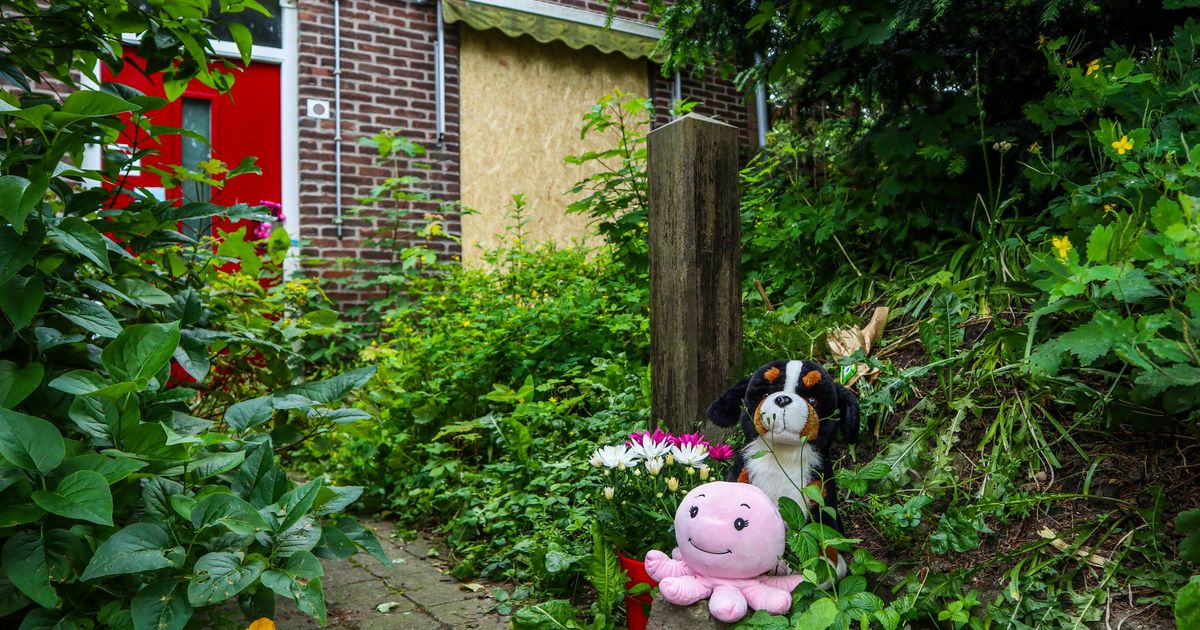 Pleegzorg schiet niet alleen in Vlaardingen tekort, moeder zit nog vol vragen