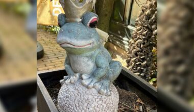 Kikker gestolen in Franeker | Bestelbus botst op boom bij Vinkega