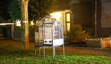 Papegaaien gered uit brandende garage • naakte man op dak - Omroep Gelderland