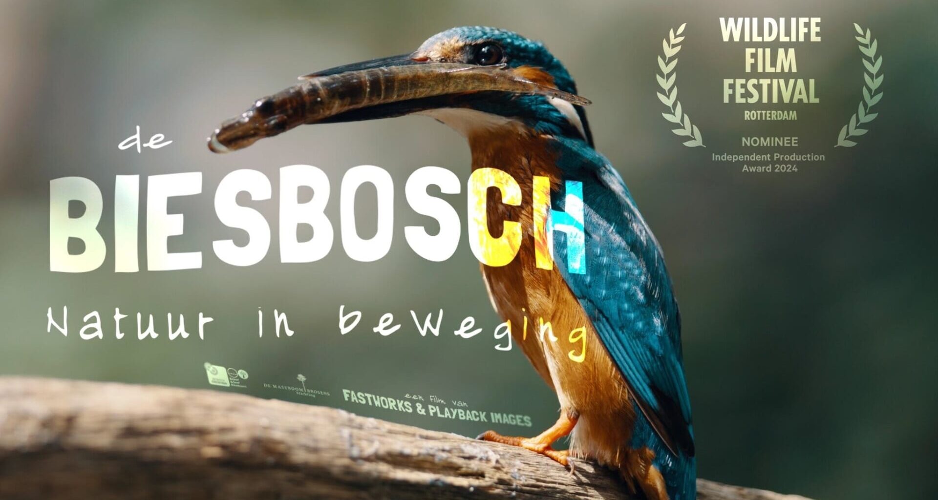 Bekroonde natuurdocumentaire De Biesbosch nu thuis te zien