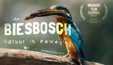 Bekroonde natuurdocumentaire De Biesbosch nu thuis te zien