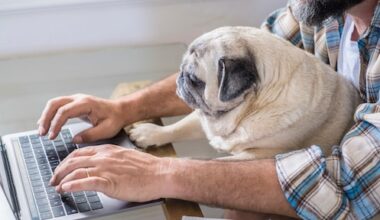 hond Pep blijft welkom in praktijk