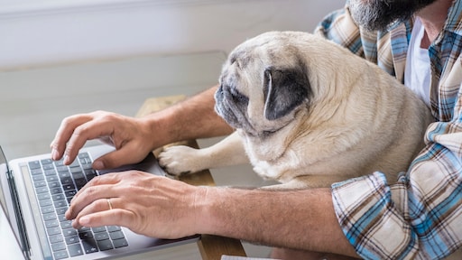 hond Pep blijft welkom in praktijk