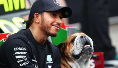 Hond Lewis Hamilton overleden na vier dagen intensive care: 'Moest hem laten gaan'