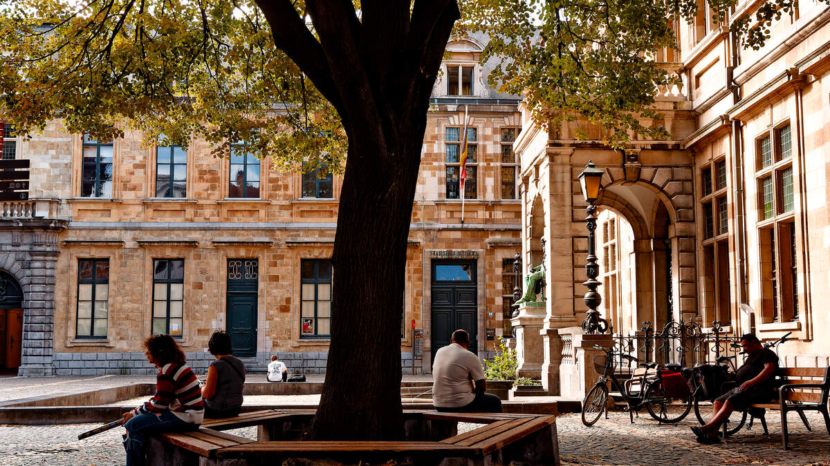 STRAATFOTOGRAAF. ”Bomen zijn als vrienden. Vanzelfsprekend als ze er zijn, een gemis als ze wegvallen”