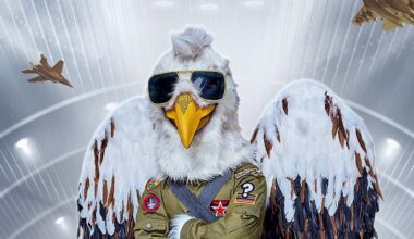 je kunt bij NET5 kijken naar The Masked Singer USA