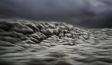 Zicht op zee met Stephan Vanfleteren: de beste expo’s in binnen- en buitenland