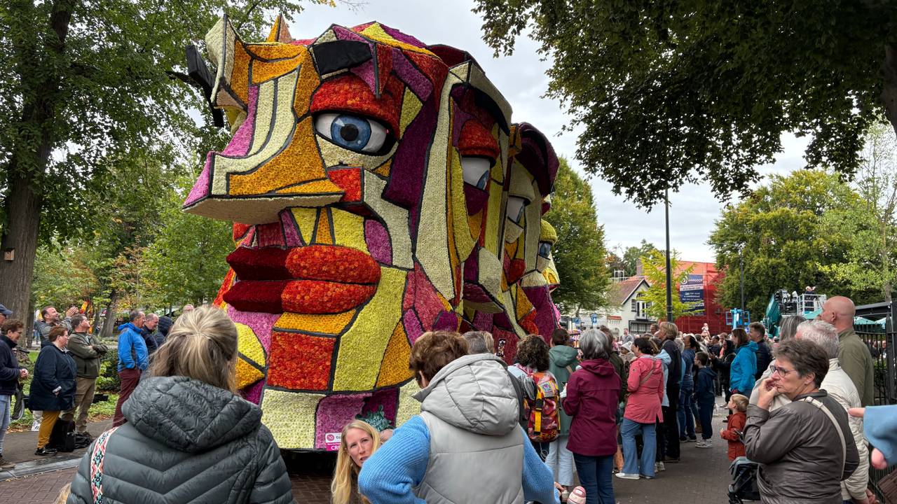 'n Fraai Gezicht, winnaar van Bloemencorso Valkenswaard 2025 (foto: Imke van de Laar).