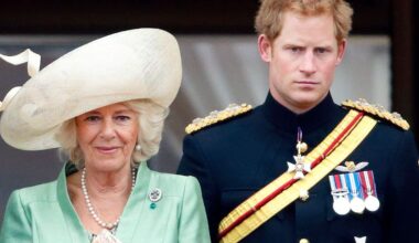 Koningin Camilla tegen verzoening koning Charles met prins Harry