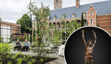 Topstuk van Mechelse kunstenares reist naar vermaard museum in Washington: “Ze mocht niet ontbreken op deze prestigieuze expo”