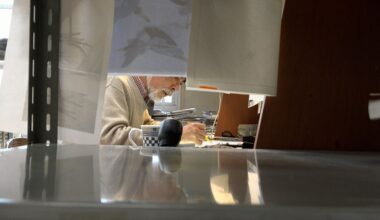 Met Studio Ghibli’s Hayao Miyazaki op expeditie naar het dodenrijk