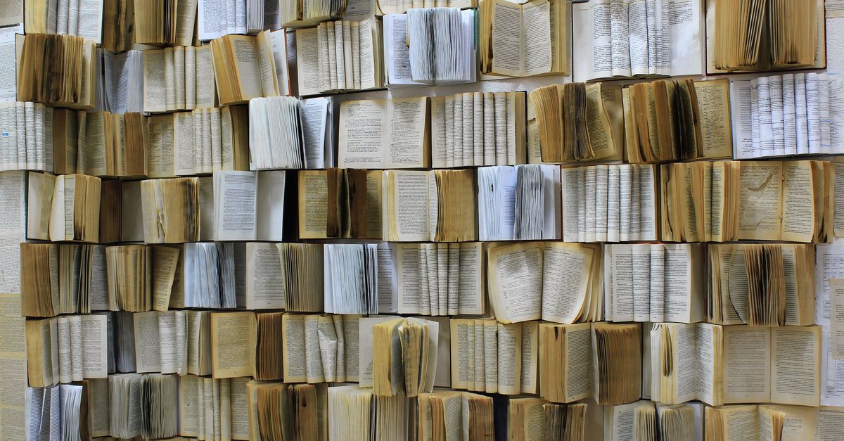 Ook klassiekers ontsnappen niet meer aan de strijd om het boek in de VS