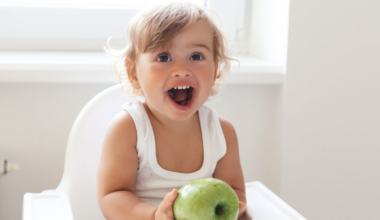 Van luiertas tot lunchbox: dit is de snack die altijd mee mag