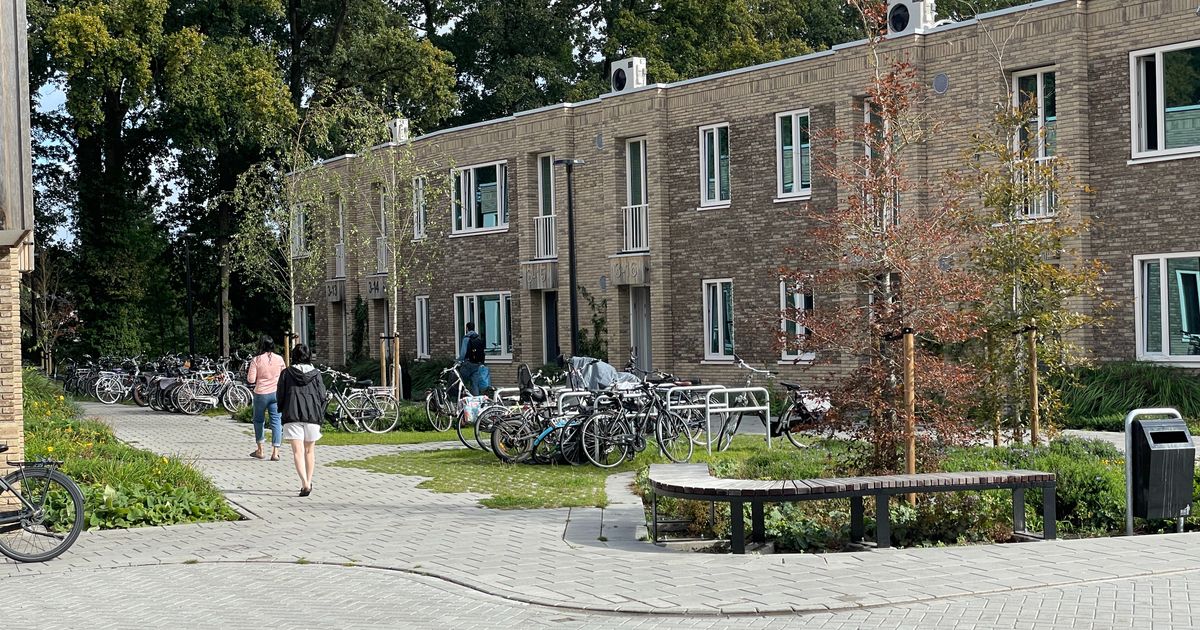 Gemeenten: asielopvang loopt uit de hand, kabinet moet ingrijpen - RTV Oost