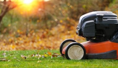 Zo lang blijft gras doorgroeien en zó lang kun je het nog maaien