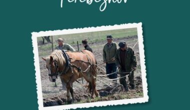 Nieuw boek Klaas de Jong: Het verhaal van Terebezhov