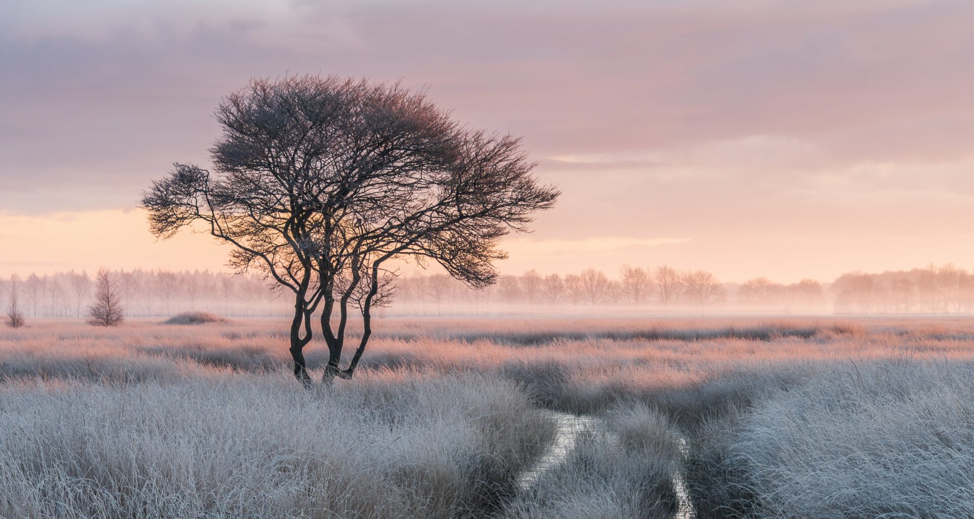 Het verhaal achter de winnende foto: winterse ochtend
