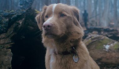 'Good Boy'-regisseur filmde zijn hond drie jaar lang om de griezelige film te maken